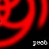 pec6のアバター