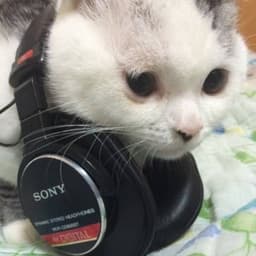 サンケのアバター