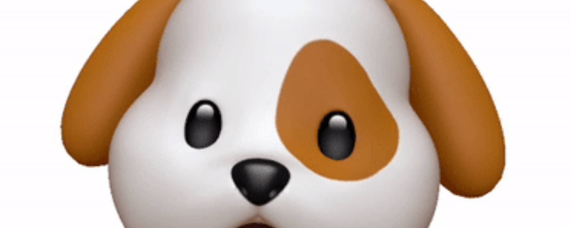 りくたろーーう！！！のヘッダー画像