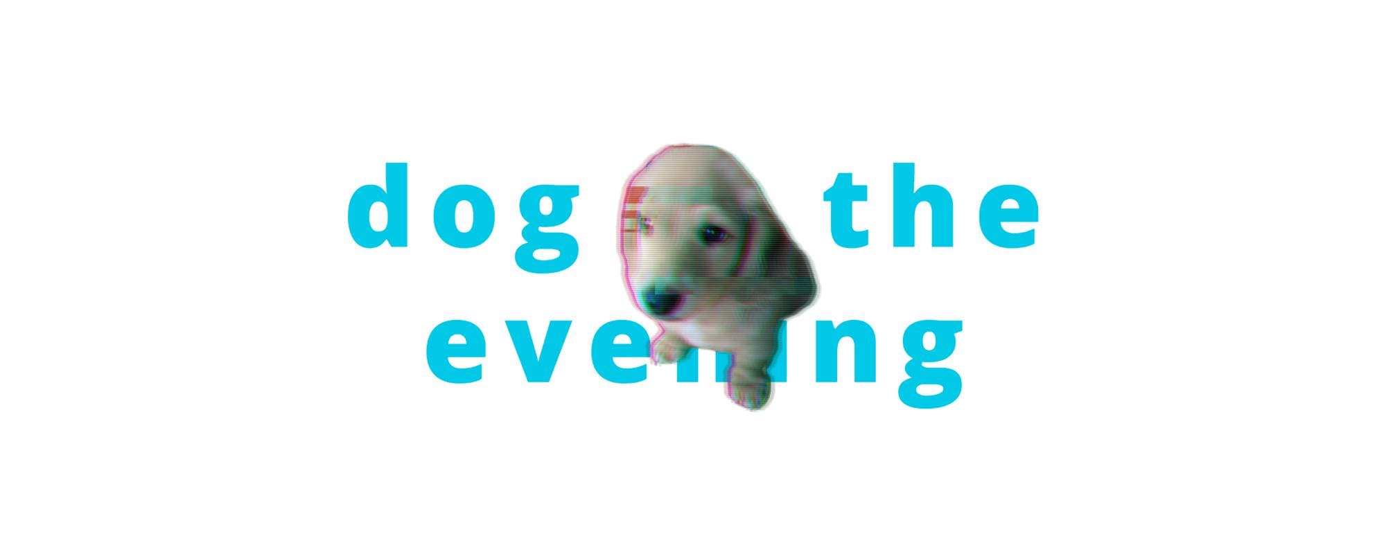 dog in the eveningのヘッダー画像